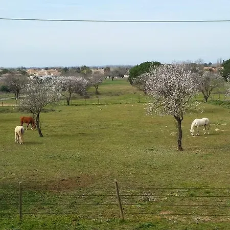 Le Gite De La Prunette