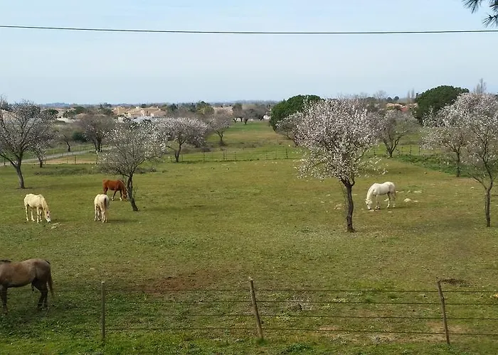 Le Gite De La Prunette